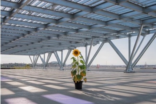 Joist Design Software: Transforming Building Efficiency
