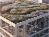 Light Gauge Steel for Green Roof and Façade Systems