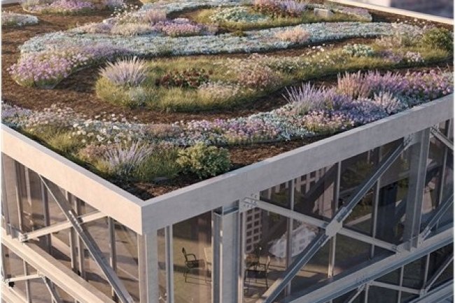Light Gauge Steel for Green Roof and Façade Systems