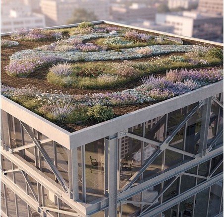 Light Gauge Steel for Green Roof and Façade Systems