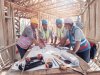 Coordination Between Structural and MEP Teams in Wood Nailer Projects