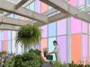 Can Joists Play a Role in Urban Farming? Designing Multi- Functional Spaces