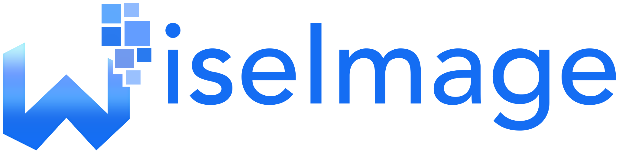 WiseImage 